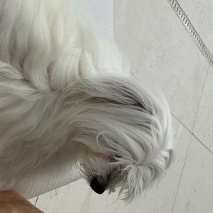 Meet your Posher, Diane